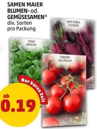 PENNY SAMEN MAIER BLUMEN- od. GEMÜSESAMEN Angebot