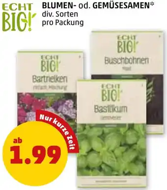 PENNY ECHT BLUMEN- od. GEMÜSESAMEN Angebot