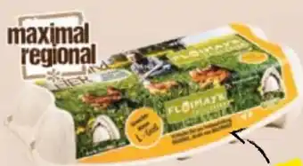 Maximarkt Eier Angebot