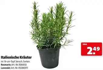 Hagebau Italienische Kräuter Angebot