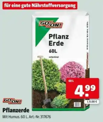 Hagebau Pflanzerde Angebot