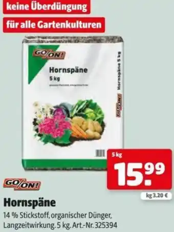 Hagebau Hornspane Angebot