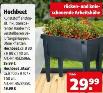 Hagebau Hochbeet Angebot