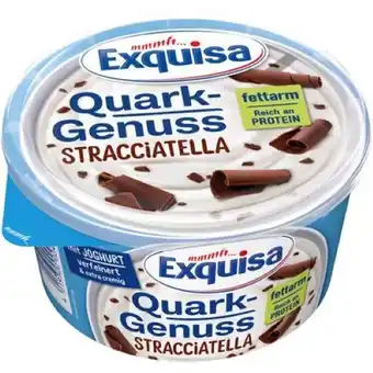 PENNY Exquisa Quarkgenuss div. Sorten Penny 500 Gramm 1 Becher Angebot