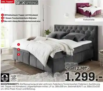 Möbel Ludwig BOXSPRINGBETT Angebot