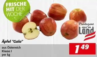 Nah&Frisch Äpfel "Gala" Angebot
