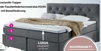 Möbel Ludwig Boxspringbett Angebot