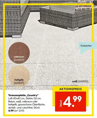 Hellweg Terassenplatte Country Angebot