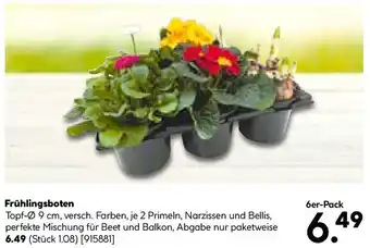 Hellweg Frühlingsboten Angebot