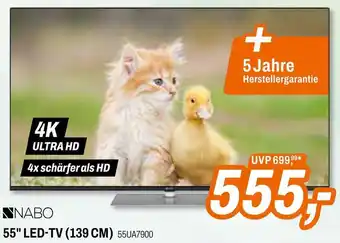 Expert 55" LED-TV (139 CM) Angebot