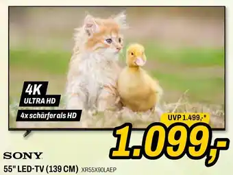 Expert 55" LED-TV (139 CM) Angebot