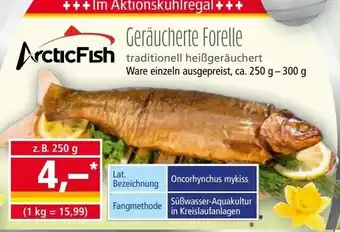 Norma Geräucherte Forelle Angebot