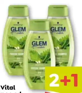 ADEG Glem Vital Shampoo Angebot
