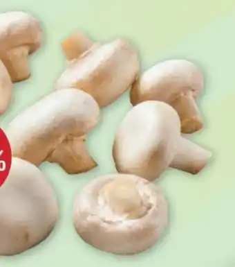PENNY Champignons Angebot