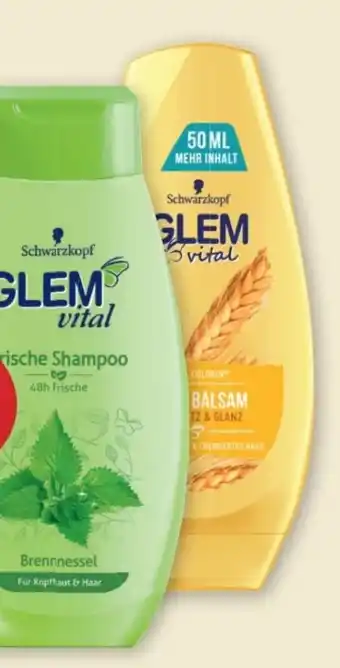 PENNY Glem Vital Shampoo Angebot