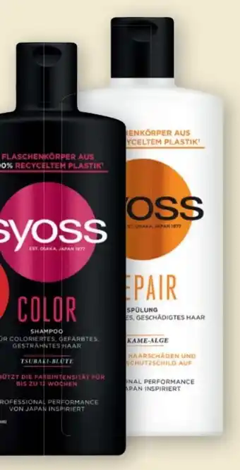PENNY Shampoo Angebot