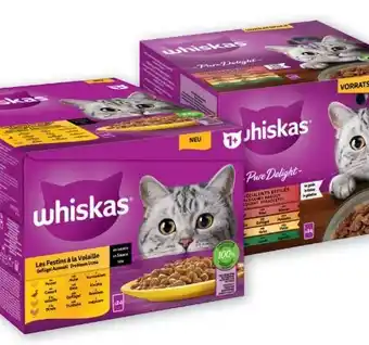 PENNY Katzenfutter Frischebeutel Angebot