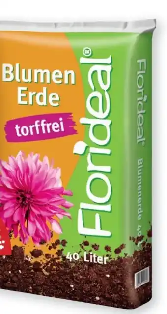 PENNY Blumenerde Angebot