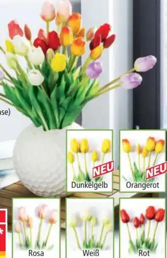 Norma Deko-Tulpen Real Touch Angebot