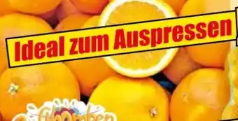 Norma Saftorangen Angebot