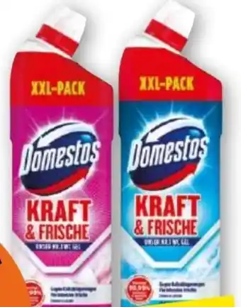 Norma WC Gel Angebot