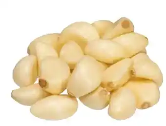 Transgourmet Knoblauch Angebot