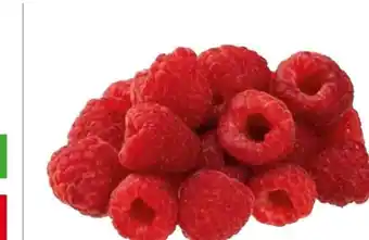 Transgourmet Himbeeren Angebot