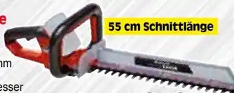 Zgonc Akku-Heckenschere Arcurra Solo Angebot