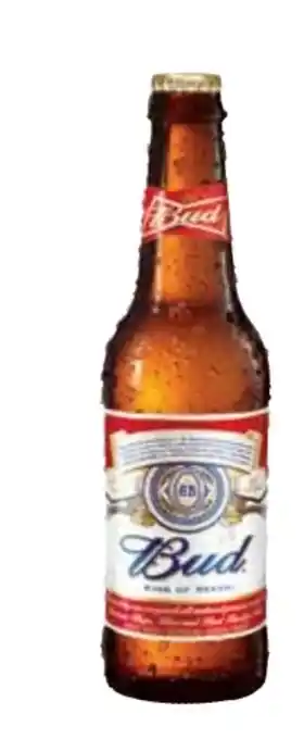 Transgourmet Bier Angebot