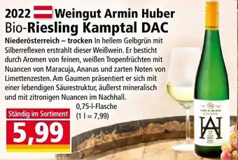 Norma Weingut Armin Huber Bio-Riesling Kamptal DAC Angebot