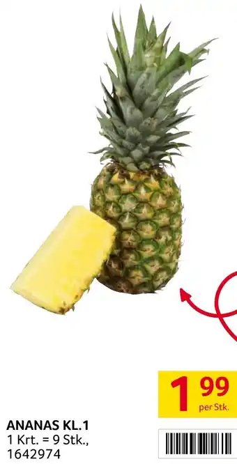 Transgourmet ANANAS KL.1 Angebot