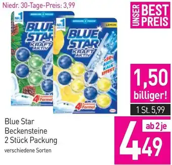 Sutterlüty Blue Star Beckensteine 2 Stück Packung Angebot