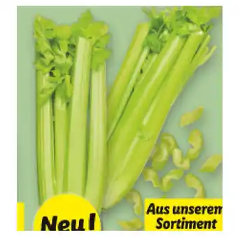 Lidl Stangensellerie Lidl 1 Stück Angebot