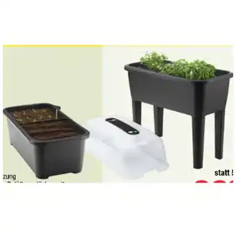Maximarkt respana Planter-Set Maximarkt 1 Set Angebot