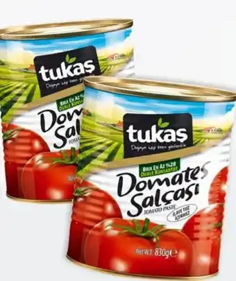 ETSAN Tomatenmark Angebot