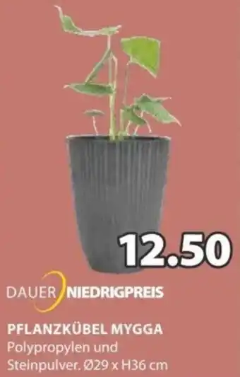 JYSK PFLANZKÜBEL MYGGA Angebot
