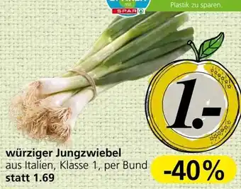 Spar würziger Jungzwiebel Angebot
