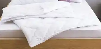 Hofer STEPPBETT KOCHFEST Angebot