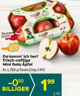 Billa Da komm' ich her! frisch-saftige Mini Gala Äpfel Angebot