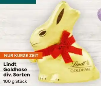 Billa Lindt Goldhase Angebot