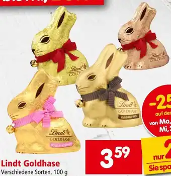 Interspar Lindt Goldhase Angebot