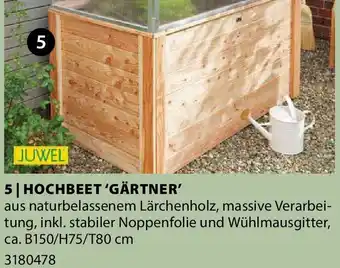 Dehner HOCHBEET 'GÄRTNER Angebot