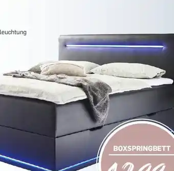 Möbel Ludwig BOXSPRINGBETT Angebot