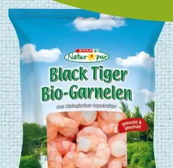 Spar Bio-Black Tiger Garnelen Angebot
