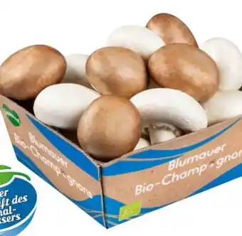 Spar Bio-Champignon Mix Angebot