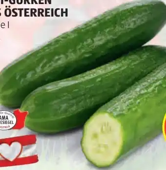 Hofer Midi Gurken Angebot