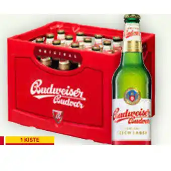 Billa Budweiser Bier BILLA 0.50 Liter 1 Kiste Angebot