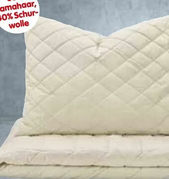 Interspar Frankenstolz Polster Angebot