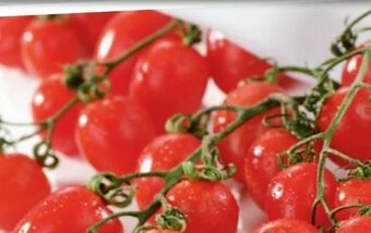 Spar Datterini Tomaten Angebot