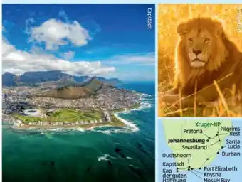 Hofer Safari Südafrika Rundreise Angebot